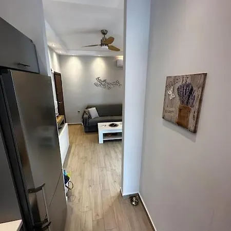 Apartment Luxurious Penthouse With Majestic Balcony. *